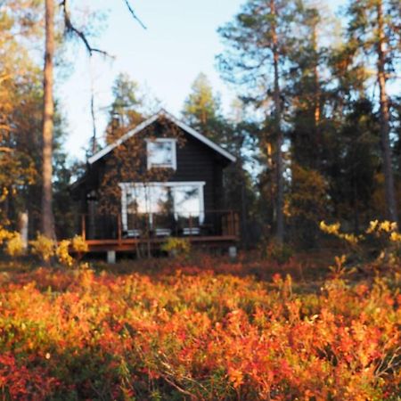 Lapintintti Eco-Cabin In Інарі Екстер'єр фото