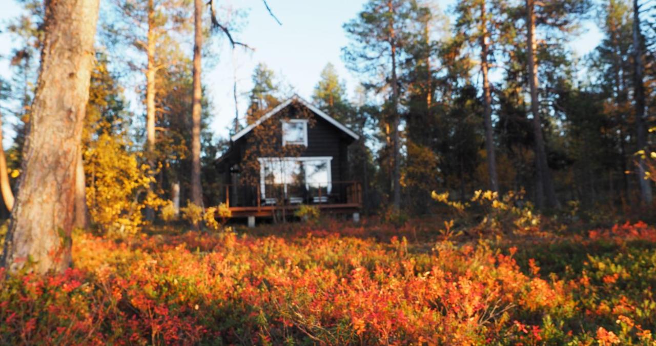 Lapintintti Eco-Cabin In Інарі Екстер'єр фото